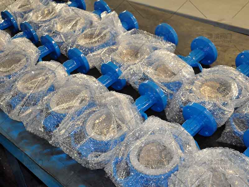 Headless wafer butterfly valve has been packed